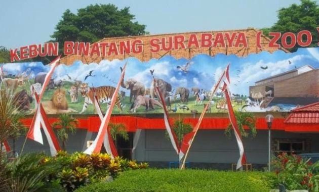 Aktivitas Seru Bersama Keluarga di Wisata Kebun Binatang Surabaya.