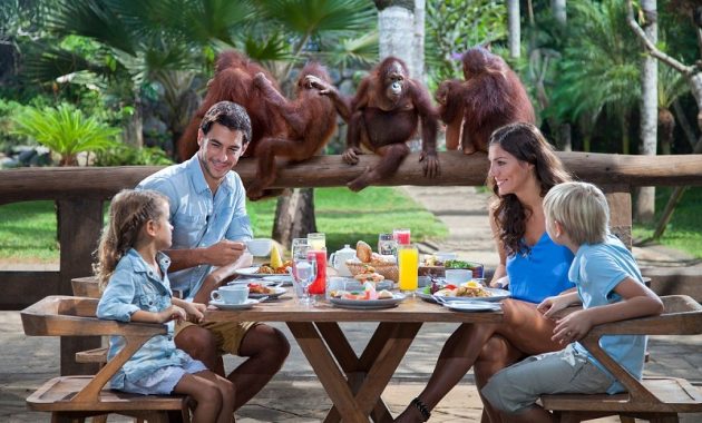 Bali Zoo Sukawati Wisata Edukasi Terbaik Di Asia Pasifik